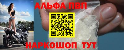 амф Кингисепп