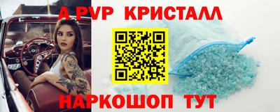 амф Кингисепп