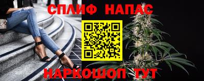 амф Кингисепп