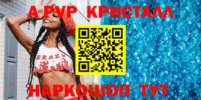 амф Кингисепп