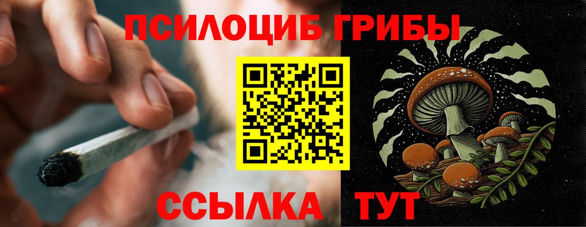 Галлюциногенные грибы Magic Shrooms Кузнецк